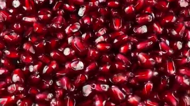 Ruby Pomegranate Grains Falling Rotating Red Arils Studio Close Juicy — Stock Video