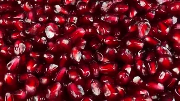 Rotating Red Fresh Pomegranate Arils Studio Close Juicy Seed Pods — Stock Video