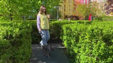 Neşeli genç yetişkin kadın, günlük kıyafetleriyle sabah küçük sevimli köpeğiyle şehir parkında geziniyor. Şehir yaşam tarzı konsepti. Kaygısız kadın hayvan sahibi güneşli günün tadını çıkarıyor.