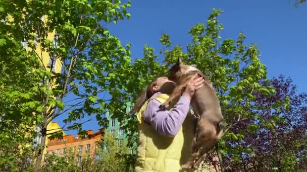 Веселая Женщина Питомец Бросает Маленькую Собаку Воздух Обнимает Домашнее Животное — стоковое видео