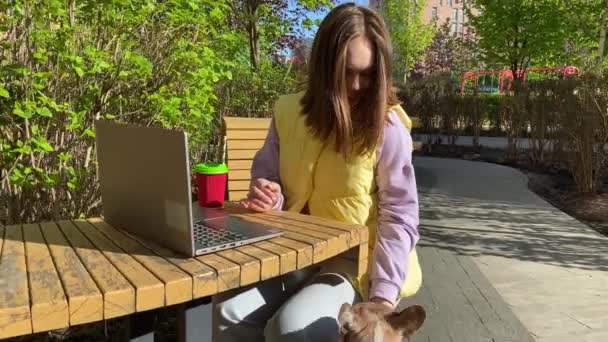 Wesoła Młoda Kobieta Bawiąca Się Małym Psem Podczas Pracy Laptopem — Wideo stockowe