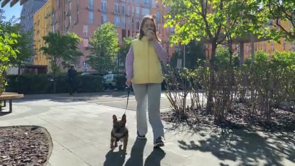 Wanita Dewasa Berjalan Dengan Anjing Kecilnya Dengan Tali Sambil Berjalan — Stok Video