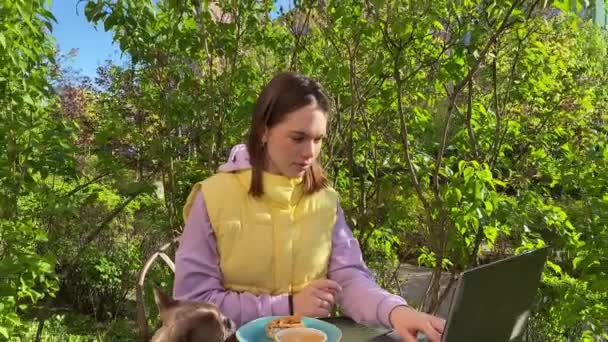 Charming Young Adult Woman Feeding Small Dog Table Working Laptop — Stock Video