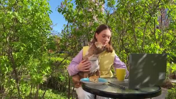 Urocza Młoda Dorosła Kobieta Właściciel Zwierzaka Posiada Słodki Mały Pies — Wideo stockowe