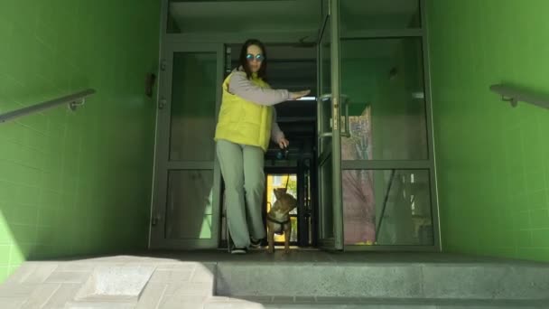 Jeune Femme Adulte Sortant Par Escalier Porte Entrée Promenant Chien — Video