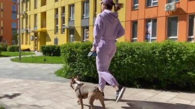 Mor spor kıyafetli genç bir kadın güneşli bir sabahta şehirde köpek gezdirirken koşuyor. Evcil hayvanını dışarıda gezdiren sağlıklı bir evcil hayvan sahibi. Şehir yaşam tarzı konsepti