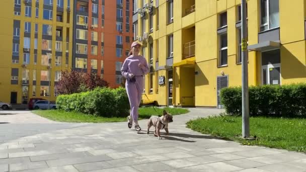 低角度前视年轻的成年女子穿着紫色运动服慢跑犬在城市地区散步阳光明媚的早晨 健康的雌性宠物主人在户外用皮带圈养家畜 城市生活方式概念 — 图库视频影像