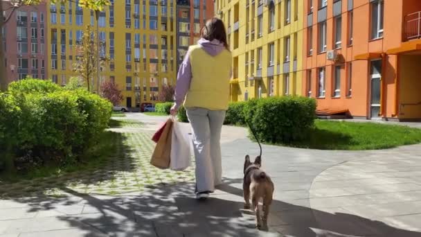 Rear Melihat Wanita Dewasa Muda Berbelanja Berjalan Anjing Memegang Tas — Stok Video