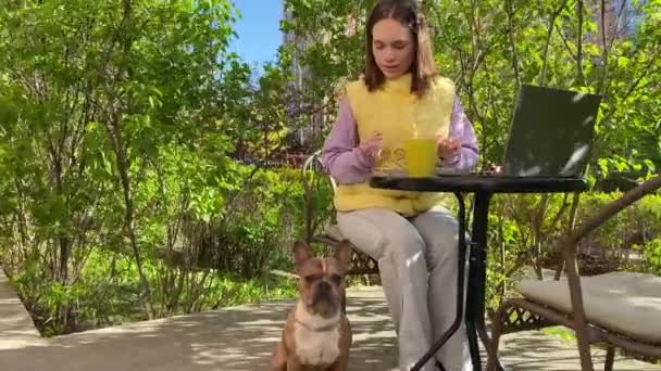 迷人的年轻女人一边和她可爱的小狗分享食物 一边在笔记本电脑上工作 坐在户外宠物友好的咖啡店里 漂亮的女遥控器管理员和法国斗牛犬一起工作 — 图库视频影像