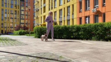 Spor kıyafetli aktif genç bir kadın. Tasmalı sevimli küçük bir köpek. Sabah dışarıda koşuyor. Arka planda renkli bir yerleşim bölgesi var. Şehir hayvanı, şehir yaşam tarzı.