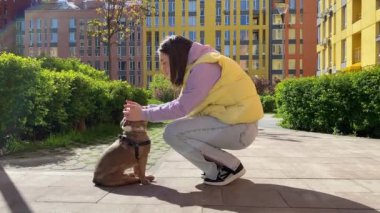Güneşli bir sabahta dışarıda sevimli küçük bir köpeği okşayan şefkatli genç bir kadın. Halk parkında sevecen bir evcil ebeveyn tarafından okşanmış kahverengi Fransız Bulldog. Şehir binaları, arka plandaki yerleşim alanları.