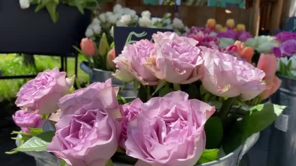 Blütentheke Verschiedene Bunte Blumen Metalleimern Töpfe Mit Preisschildern Freien Sonniges — Stockvideo