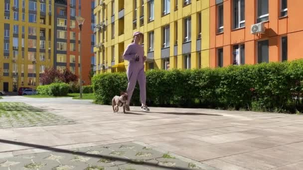 穿着运动服的旋转射击活跃的年轻女子 穿着可爱的小狗 带着皮带慢跑在室外 背景是多彩的建筑外住宅区 城市宠物 城市生活方式 — 图库视频影像