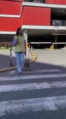 Uzun boylu bir kasaba kadını sabah köpeğinin tasmasıyla yaya geçidinde karşıya geçiyor. Kahverengi Fransız Bulldog, şehir içinde dolaşırken evcil hayvan sahibinin yanına gidiyor. Arkaplanda şehir altyapısı