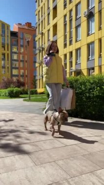 Dikey genç bayan köpek gezdirme, alışveriş poşetleri taşır güneşli bir günde açık havada telefonla konuşur. Arka planda renkli binalar var. Evcil hayvan konsepti. Kadın hayvan sahibi şehir yaşamını seviyor.
