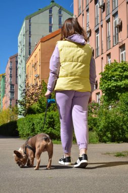 Güneşli bir sabahta şehirde köpeğini gezdiren günlük kıyafetli genç bir kasaba kadını. Düşük açılı kadın. Evcil hayvanı dışarı çıkan yaya yolu. Arka planda renkli binalar. Kentsel yaşam tarzı