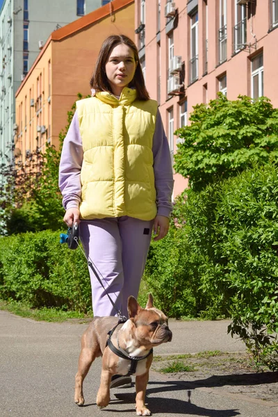 Güzel genç bir kadın güneşli bir günde küçük sevimli bir köpeği gezdiriyor. İtaatkar evcil hayvan köpeği, evcil hayvan sahibiyle dışarıda yürüyor. Arka planda ikamet bölgesi var. Şehir yaşam tarzı konsepti