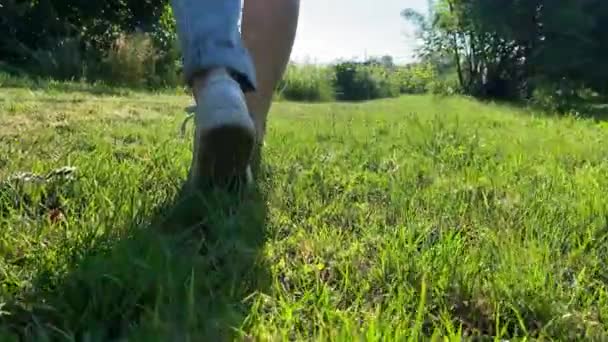 在日出时 低部分后视镜可以赤脚行走在女性腿上 而运动鞋可以在户外绿草上行走 平衡概念 平衡人为的和自然的 健康的生活方式选择 — 图库视频影像