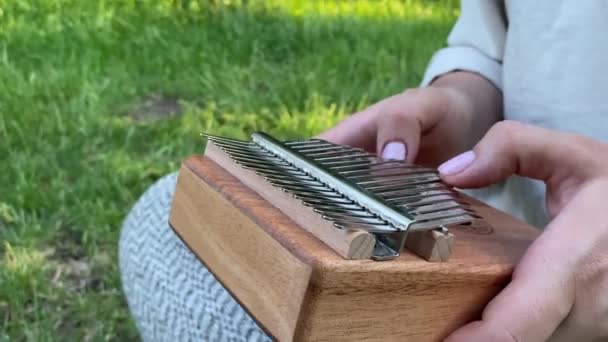Female Person Relaxing Meditates Creating Simple Music Sitting Green Landscape — Stock Video