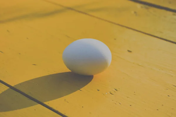White egg on yellow table outdoors. Balance concept. Single object as analogy of balancing life. Golden sunlight illuminates on surface. Shadow from sun rays at sunrise