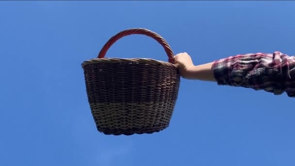 Female Hand Pours Red Rose Petals Basket Blue Sky Background — Stock Video