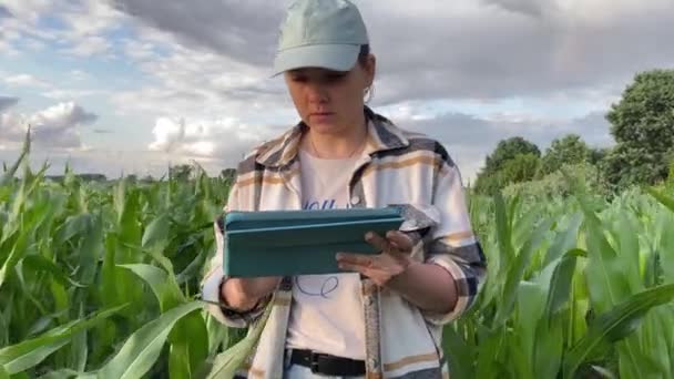 Portrait Femme Agricultrice Tient Champ Maïs Saisie Données Dans Tablette — Video