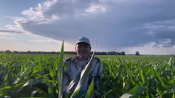 Vrouwelijke Boer Staat Maïsveld Staren Naar Het Landbouwveld Bij Zonsondergang — Stockvideo