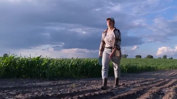 Front View Νεαρή Αγρότισσα Περπατά Κατά Μήκος Χωματόδρομο Παράλληλα Cornfield — Αρχείο Βίντεο