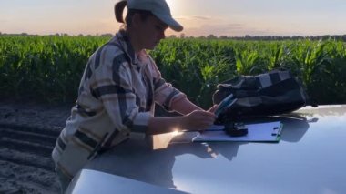 Kadın tarım uzmanı, uzaktan kumandalı dron kullanarak alanı incelemek için dijital tablet kullanır. Güneş batarken mısır tarlasında araba kaputunda çalışan kadın çiftçi. Tarım, tarım, kırsal konsept