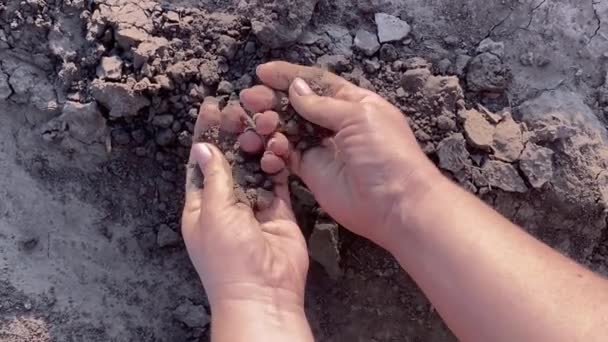 Female Hands Grasp Handful Dry Soil Environmental Issue Climate Change — Stock Video