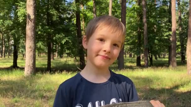 Güneşli Bir Günde Açık Havada Sevimli Ilkokul Çocuğu Portresi Tatlı — Stok video