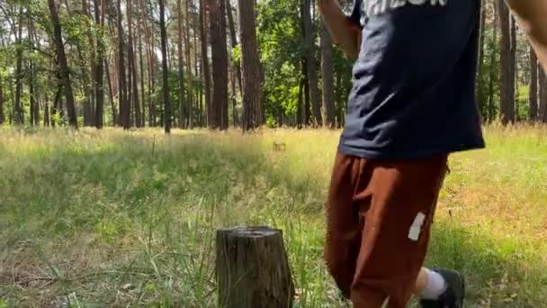 Portrait Entzückenden Jungen Grundschulalter Der Freien Natur Einem Sonnigen Tag — Stockvideo