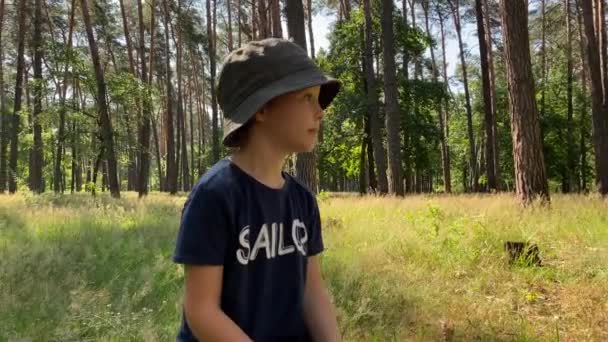 Rozkošný Chlapeček Uvažuje Odpočinku Sluncem Zalitém Lese Veselý Muž Dítě — Stock video