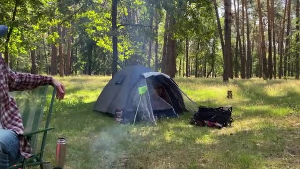 Vacanță Familie Captivantă Sălbăticie Copiii Fermecători Bucură Aventură Camping Fluturând — Videoclip de stoc