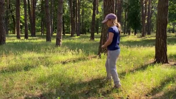 Jong Meisje Met Een Net Vangt Vlinders Het Zonovergoten Bos — Stockvideo