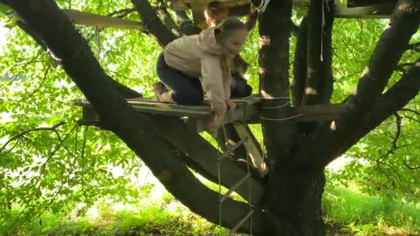 Familie Die Gekoesterde Momenten Met Elkaar Verbindt Kinderen Beklimmen Touwladder — Stockvideo
