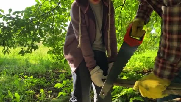 Baba Çocuklar Ağaç Inşa Etmek Için Bir Araya Gelirler Küçük — Stok video