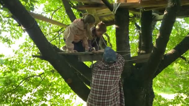 Dzieci Mają Wybuch Ich Domku Drzewie Podczas Gdy Radośnie Motywuje — Wideo stockowe