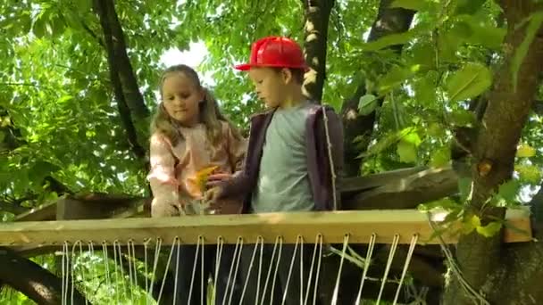 Father Children Engrossed Building Dream Treehouse Kids Paint Hideaway Adding — Stock Video