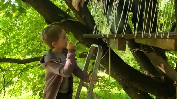 Baba Küçük Oğlu Büyüleyici Bir Ağaç Inşa Etmek Için Bir — Stok video