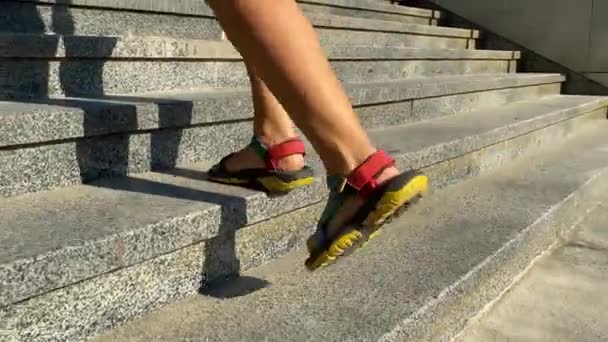 Zbliżenie Kobiecych Nóg Butach Sportowych Biegnie Przez Obszar Miejski Ciepły — Wideo stockowe