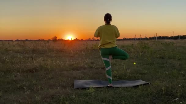 Mujer Joven Tranquila Que Equilibra Árbol Yoga Posan Paisaje Rural — Vídeos de Stock