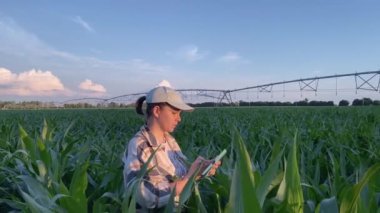 Bir mısır tarlasında dijital tablet kullanarak araştırma yapan genç bir tarım uzmanı. Kadın çiftçi çalışıyor. Arkaplanda bulutlu gökyüzünün sulama sistemi var. Tarım tarımı keşfi