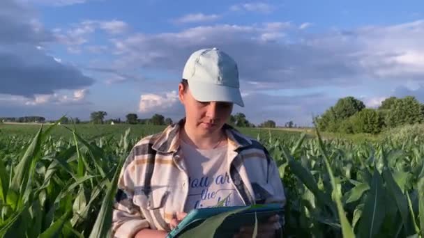 야외에서 디지털 태블릿을 연구를 옥수수 필드에서 농업자 농부는 현장을 바라보며 — 비디오