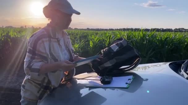 年轻的女农学家使用数字平板电脑 准备在金色日落时进行汽车引擎盖的野外研究 田园耕作 农村生活 在室外作物种植园工作的女农民 — 图库视频影像