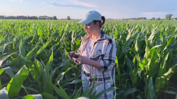 Молодая Женщина Фермер Управляет Сельскохозяйственным Беспилотником Помощью Дистанционного Управления Смартфона — стоковое видео
