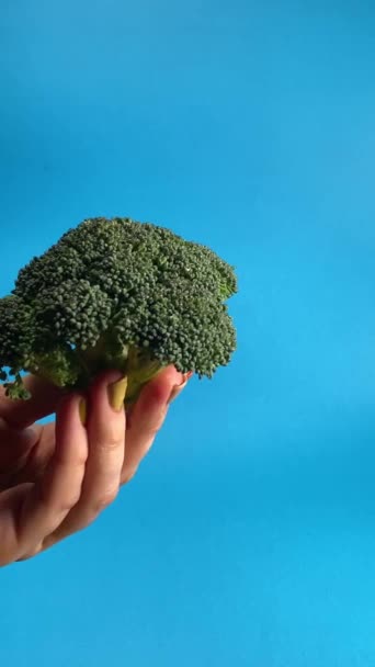 Vrouwelijke Hand Houdt Een Stuk Broccoli Geïsoleerd Blauwe Achtergrond Onherkenbare — Stockvideo