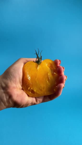Kobieta Trzyma Rękę Wyciska Żółty Dojrzały Pomidor Wydobywając Jego Soczystą — Wideo stockowe