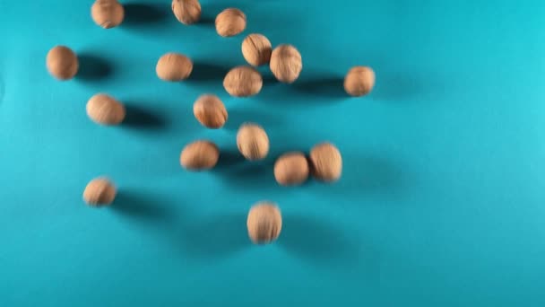 충분한 공간을 촉진을 이상적인 파란색 배경에 호두의 사용자 템플릿 스튜디오 — 비디오