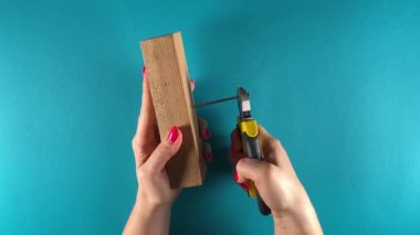 Tanınmayan bir kadının, aletlerle ustalıkla çalışmasının üst görüntüsü. Mavi arka planda, kapalı bir tahtadan pense çivisi çıkarmak için kerpeten kullanıyor. DIY kavramı ve cinsiyet ayrımı olmayan ev gelişimi